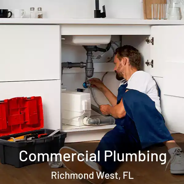  Commercial Plumbing Richmond West, FL